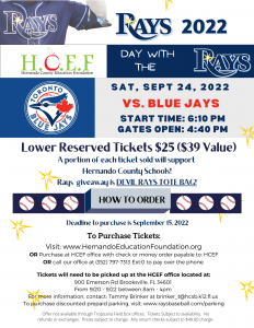 Rays Game Flyer